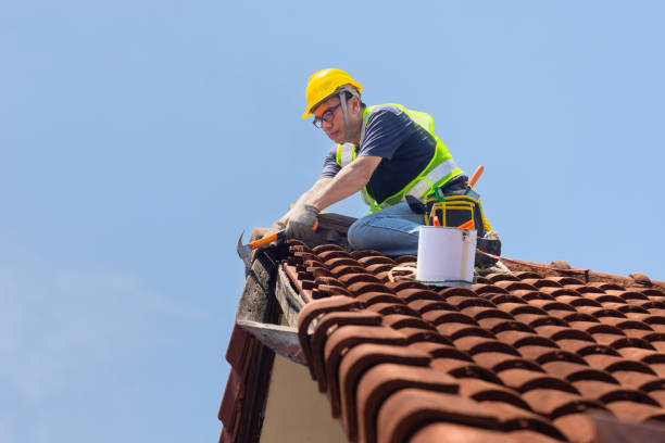 Best Roof Moss and Algae Removal  in Withamsville, OH